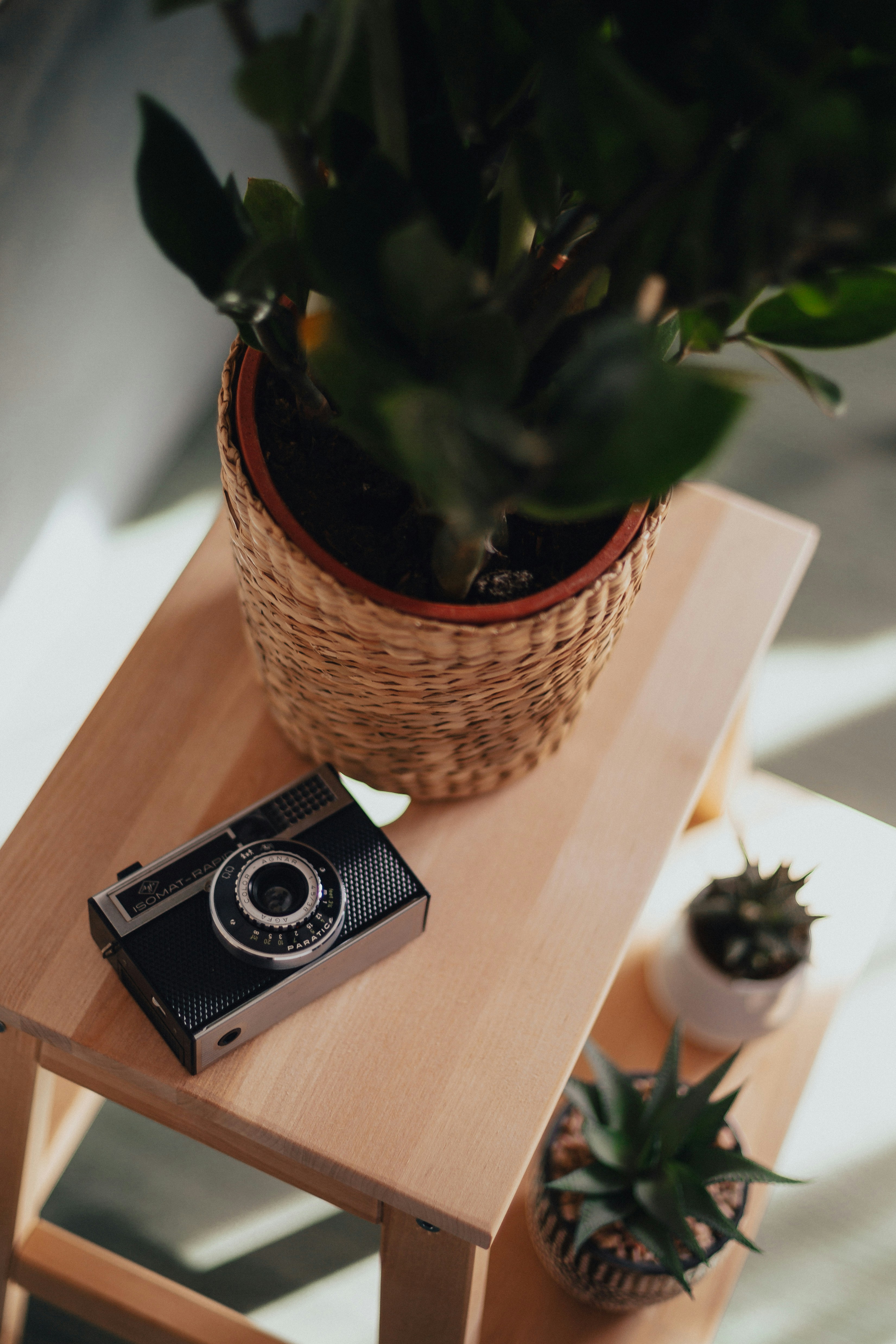 Photo by still_moods