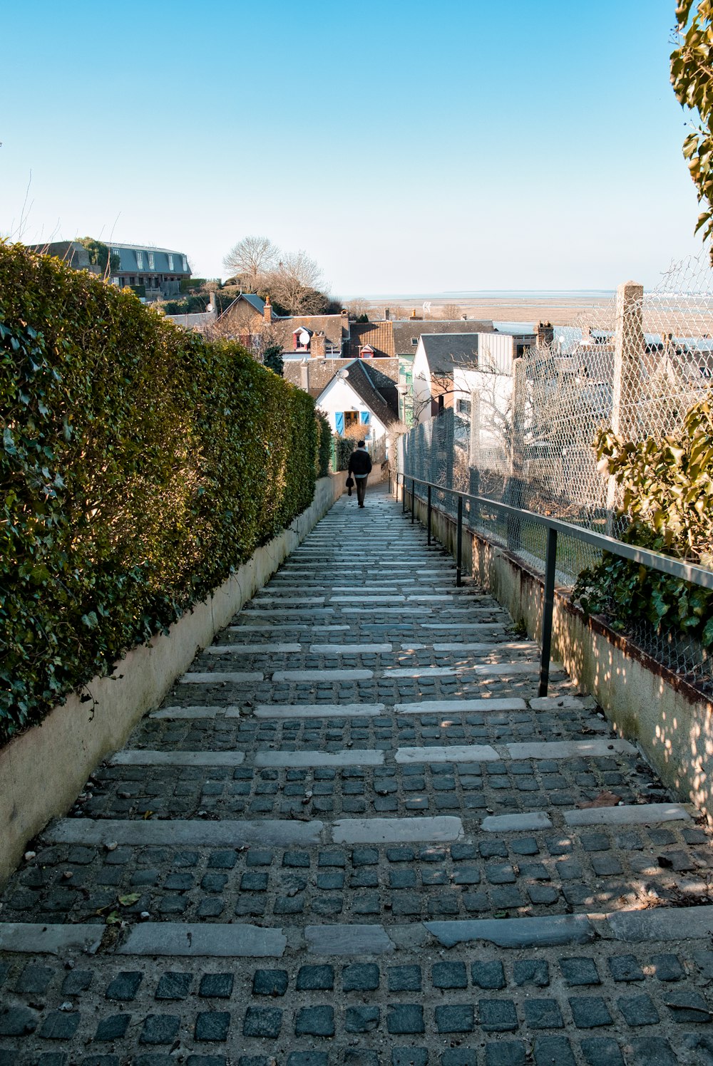 gray concrete stairs with green plants on side