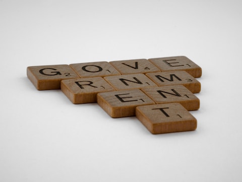 Scrabble tiles are arranged to spell the word 'GOVERNMENT' on a plain surface. The tiles are wooden with black letters and numbers indicating the points value for each letter.