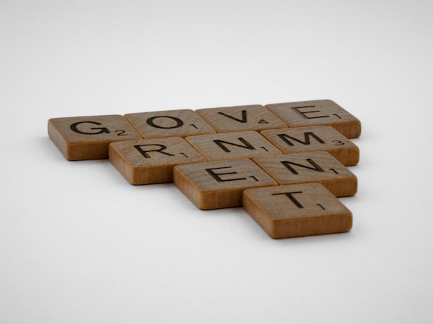 Scrabble tiles are arranged to spell the word 'GOVERNMENT' on a plain surface. The tiles are wooden with black letters and numbers indicating the points value for each letter.