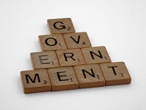 brown wooden scrabble blocks on white surface spelling "Governmnet"