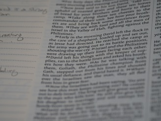 A close-up view of a page from a book, containing text and notes. The text appears to be a passage from a story or religious text, discussing a character named David, and mentions Jesse and the Philistines. In the left margin, there are handwritten notes and lines. The focus is on the printed text, with emphasis on a specific passage.