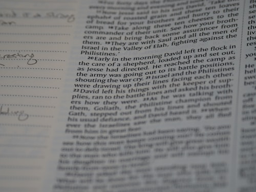 A close-up view of a page from a book, containing text and notes. The text appears to be a passage from a story or religious text, discussing a character named David, and mentions Jesse and the Philistines. In the left margin, there are handwritten notes and lines. The focus is on the printed text, with emphasis on a specific passage.