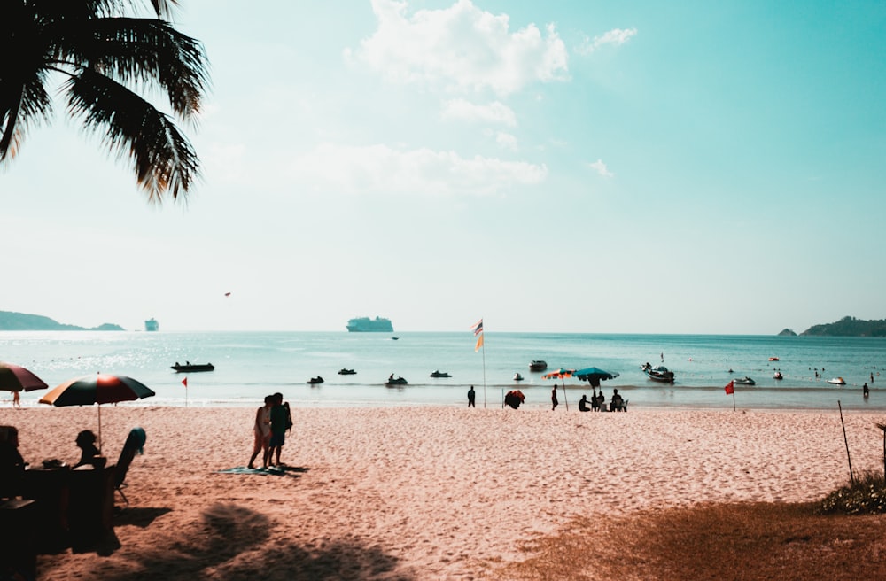 people on beach during daytime