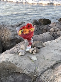 A beautiful arrangement of colorful flowers by the sea.