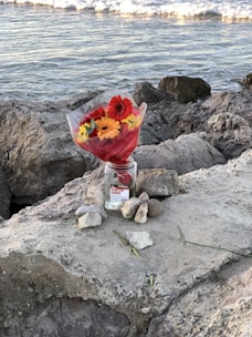 A beautiful arrangement of colorful flowers by the sea.