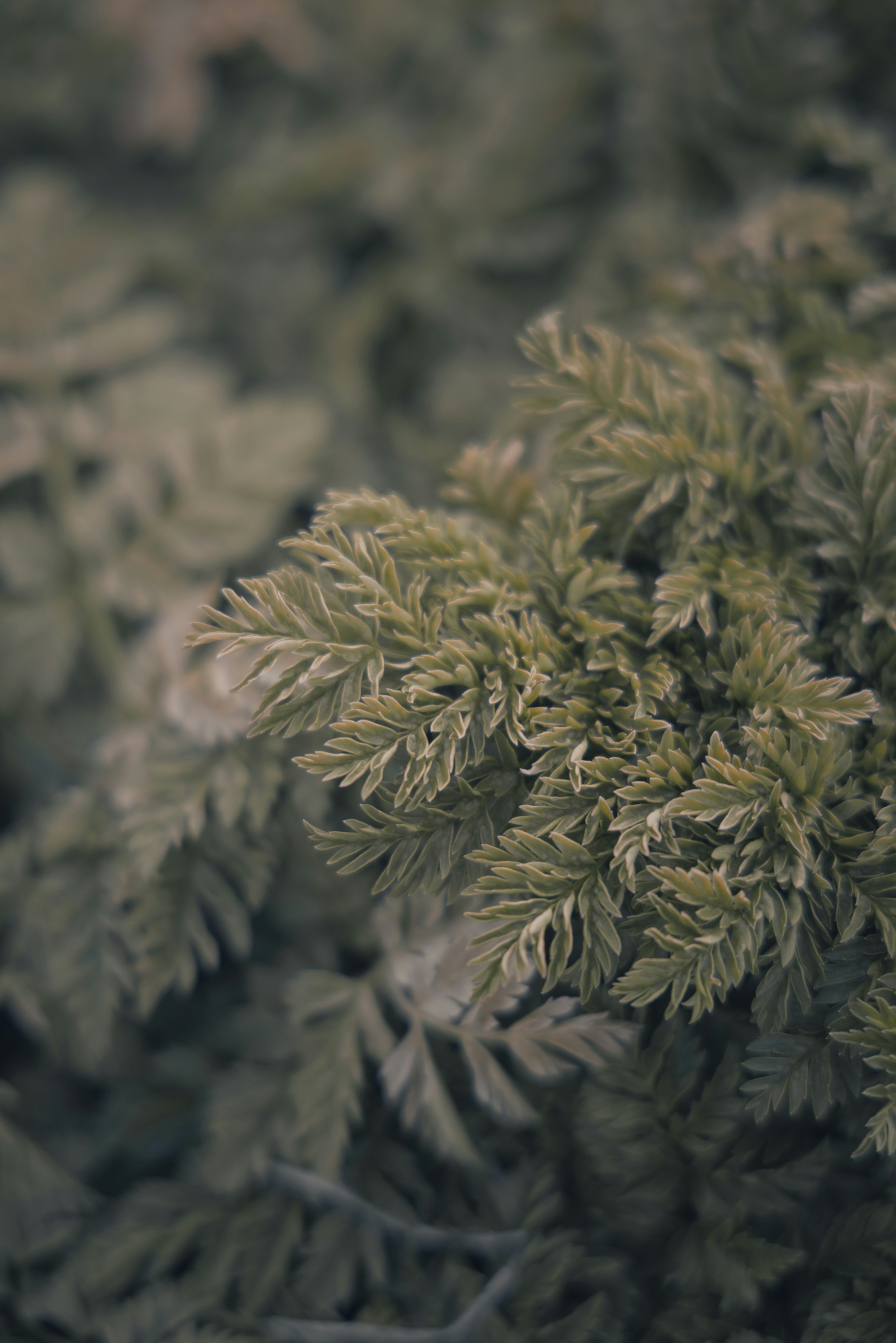 Photo by ldpeterson11