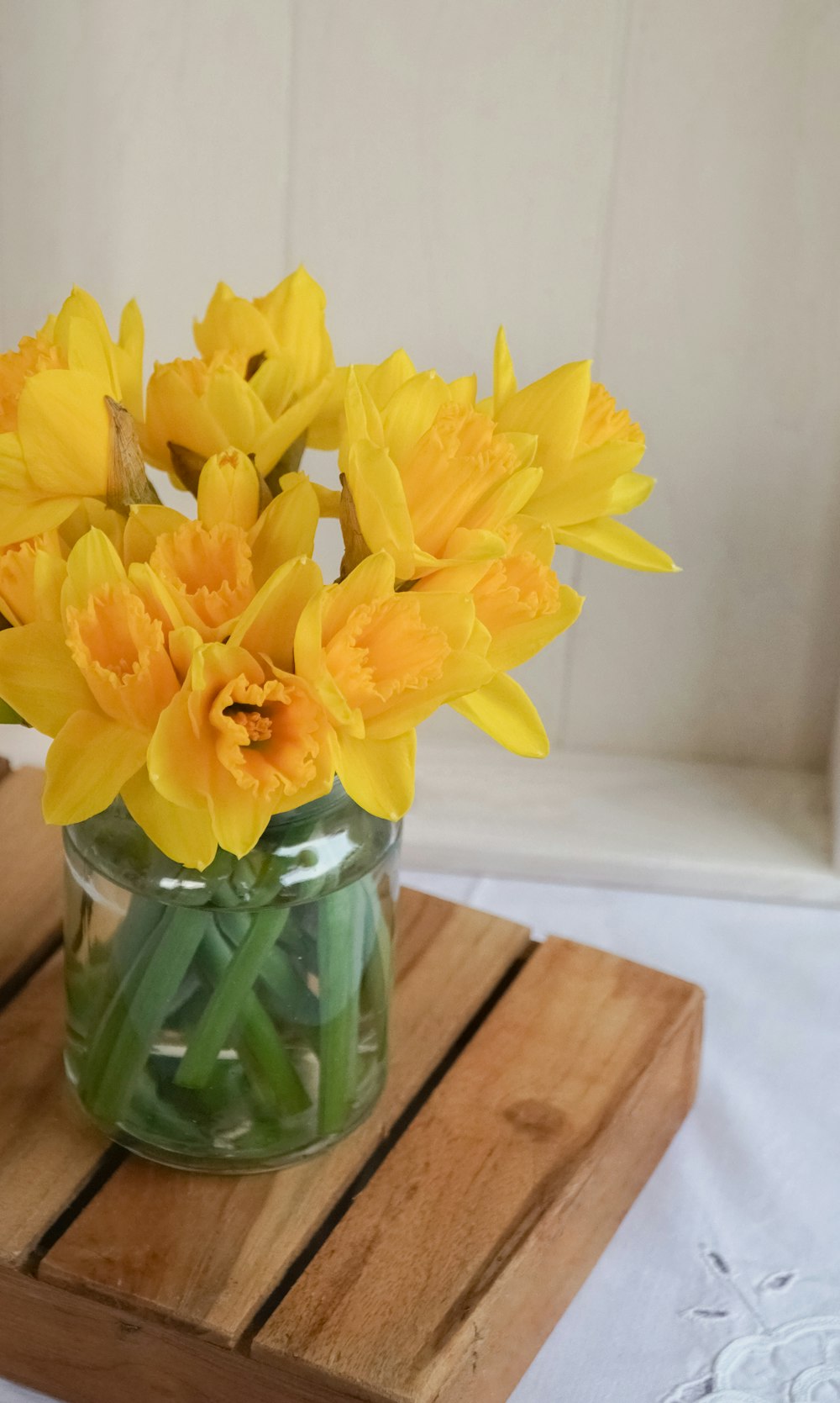 narcisos amarelos em vaso de vidro transparente