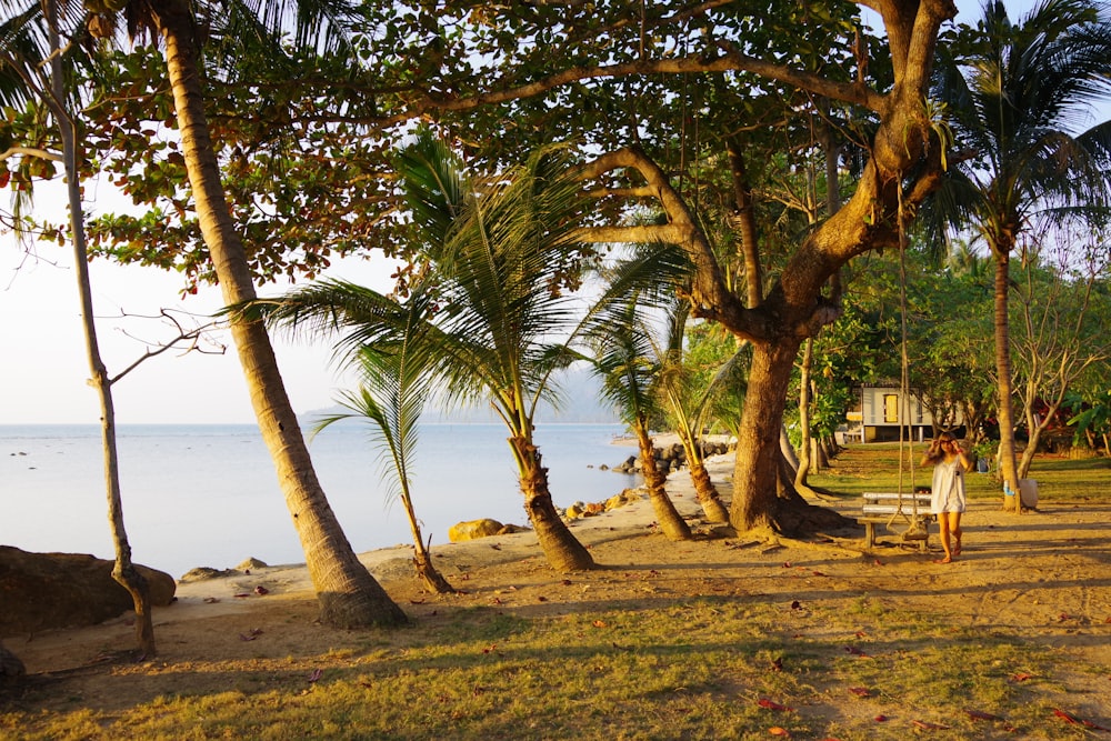 green palm tree on brown sand near body of water during daytime