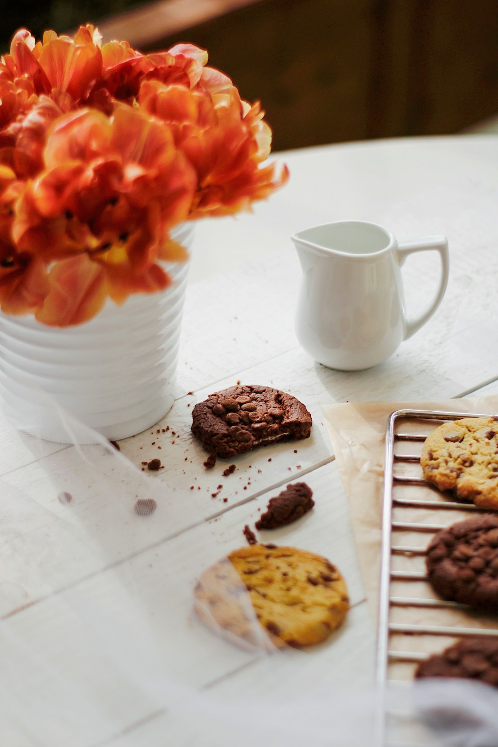 white ceramic mug beside brown cookies on white ceramic plate