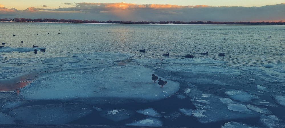 body of water during sunset