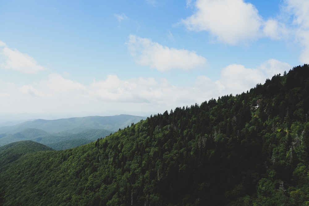 Grüne Bäume am Berg unter blauem Himmel tagsüber