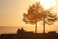 The pair sitting on a bench, sharing a conversation with soft evening light around them.