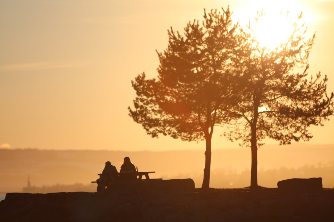 silhouette of 2 person sitting on bench near tree during sunset