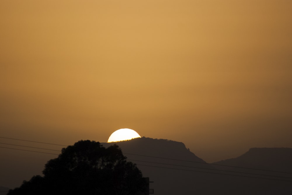 silhouette of trees during sunset