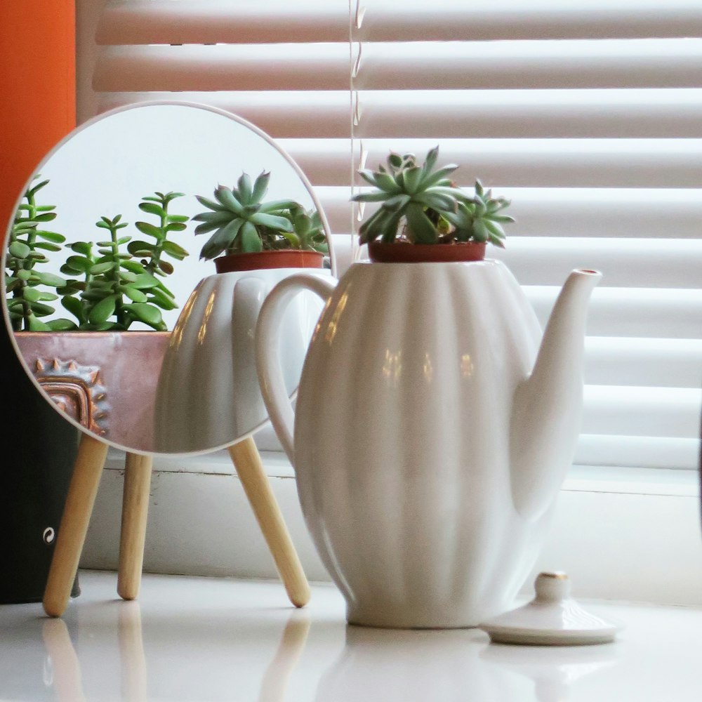 weiße Keramik-Teekanne mit grüner Pflanze auf braunem Holztisch