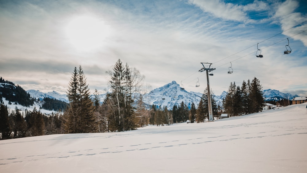 snow covered mountain and trees during daytime