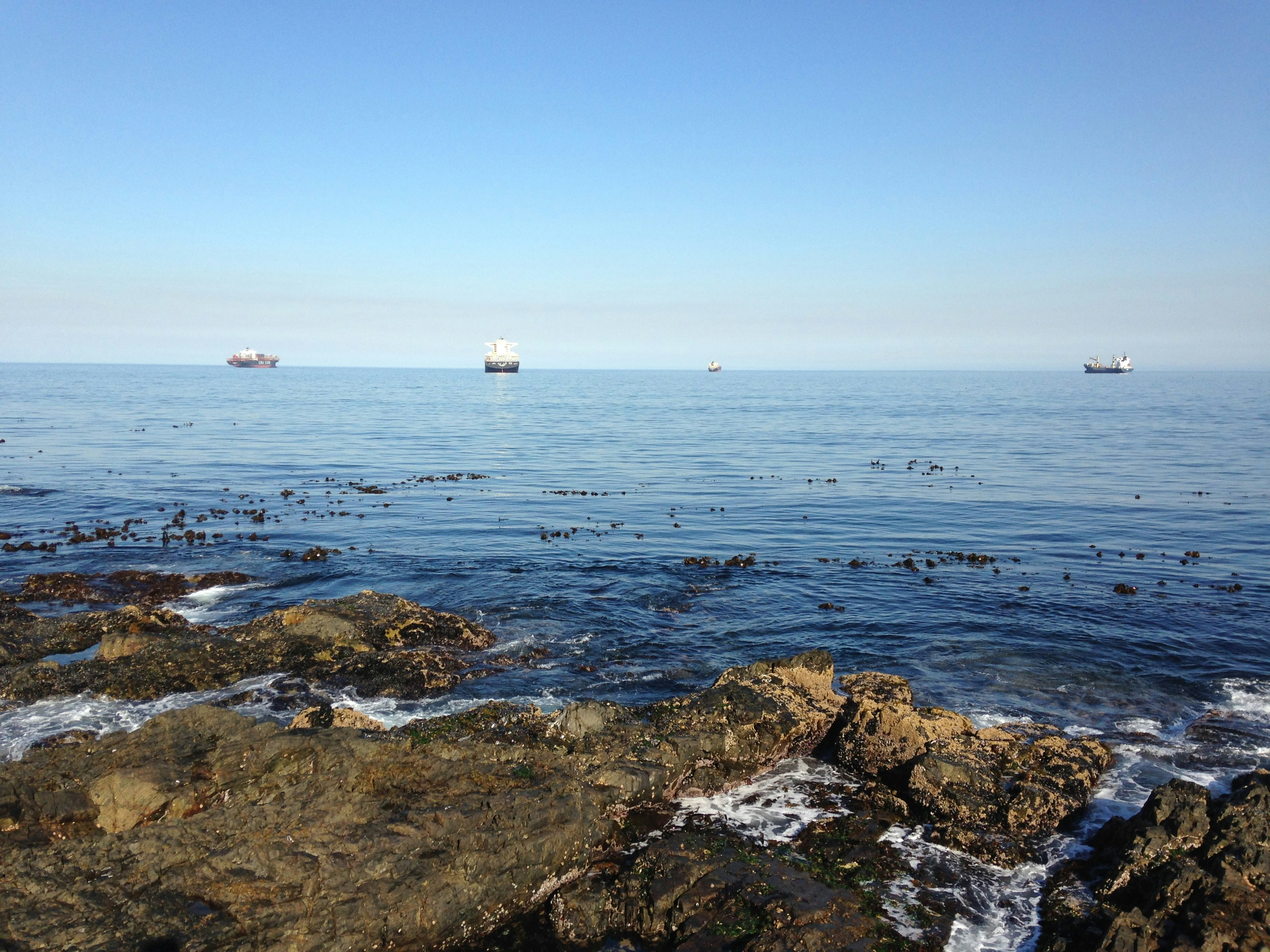 brown and gray rocks on sea shore during daytime