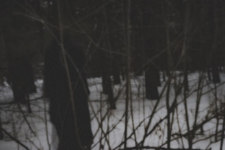 A thrilling movie poster featuring a shadowy figure in a dark forest, hinting at a new horror release.