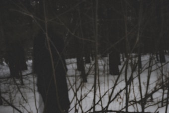 A dark, shadowy scene in a forest with snow covering the ground. Silhouettes of cloaked figures are vaguely visible among the trees, adding a mysterious and eerie atmosphere. The branches in the foreground create a sense of depth and isolation.