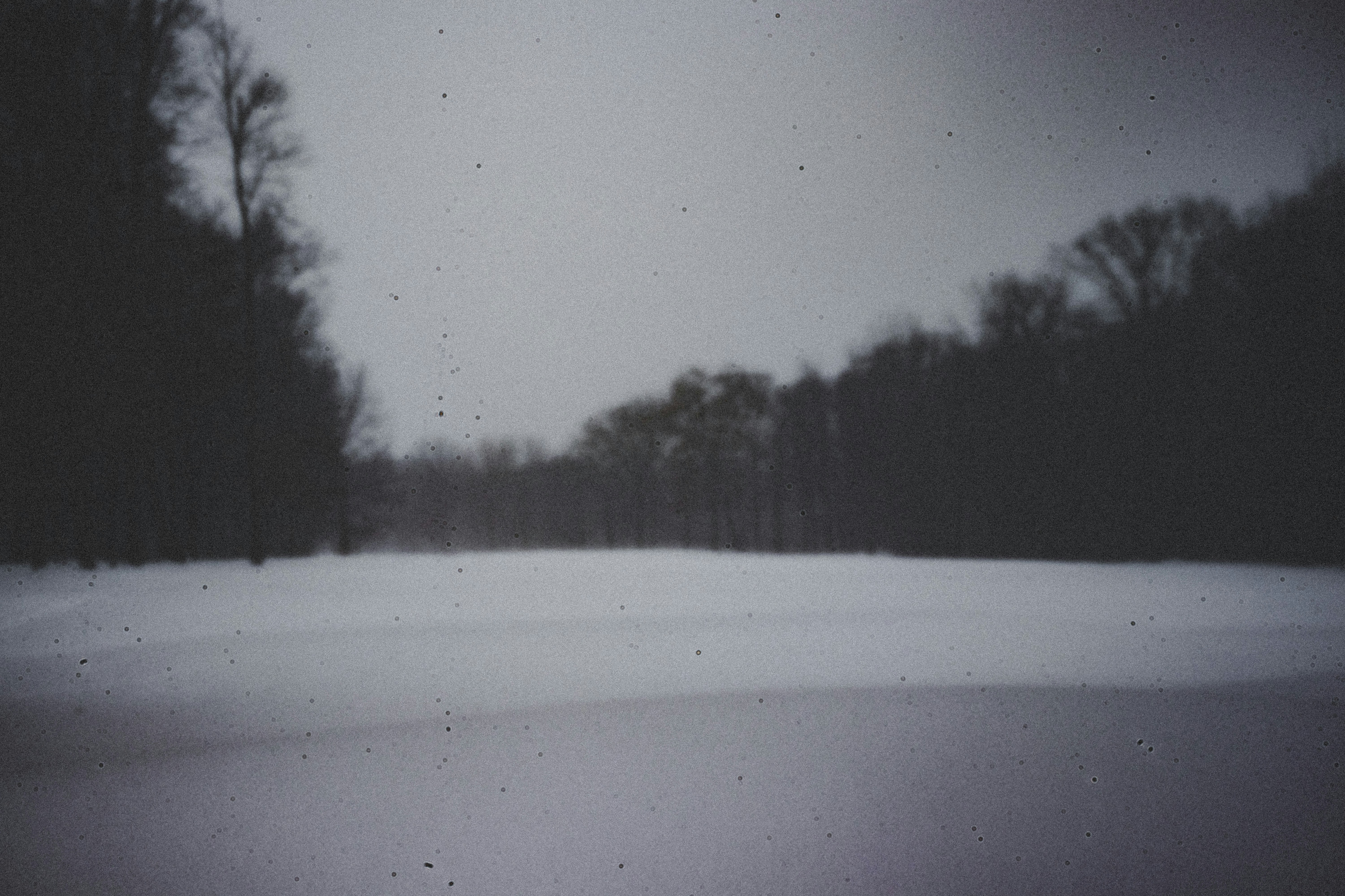 Ice on the Guides, Fish in the Net: A No-Nonsense Guide to Winter Fly Fishing the Au Sable