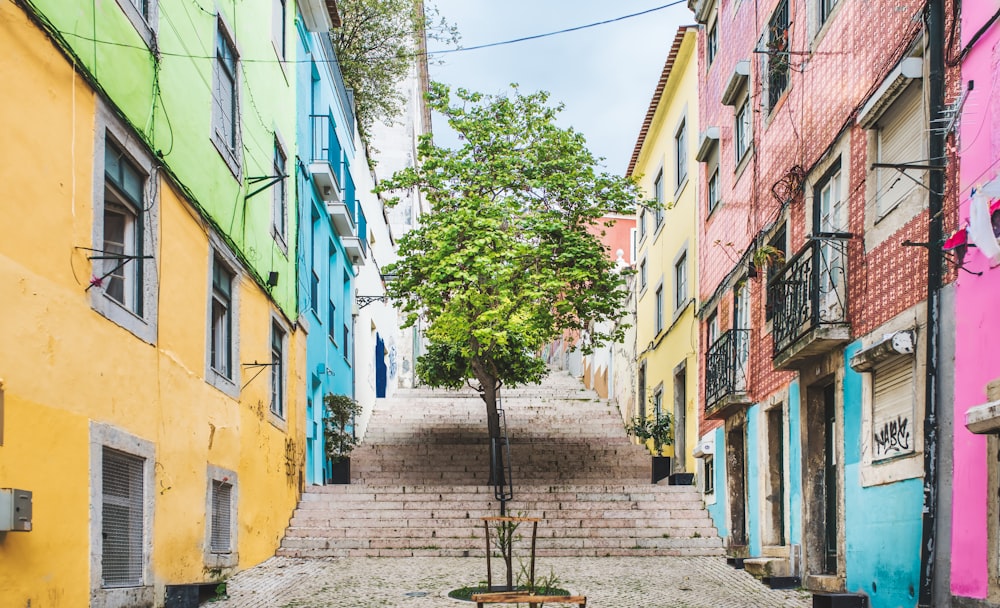 green trees in between of yellow concrete buildings during daytime