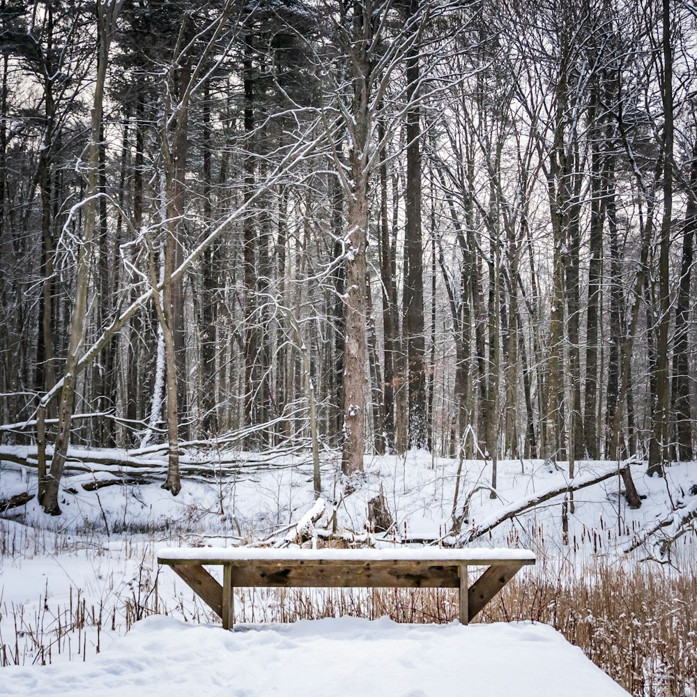 brown wooden picnic table on snow covered ground near bare trees during daytime
