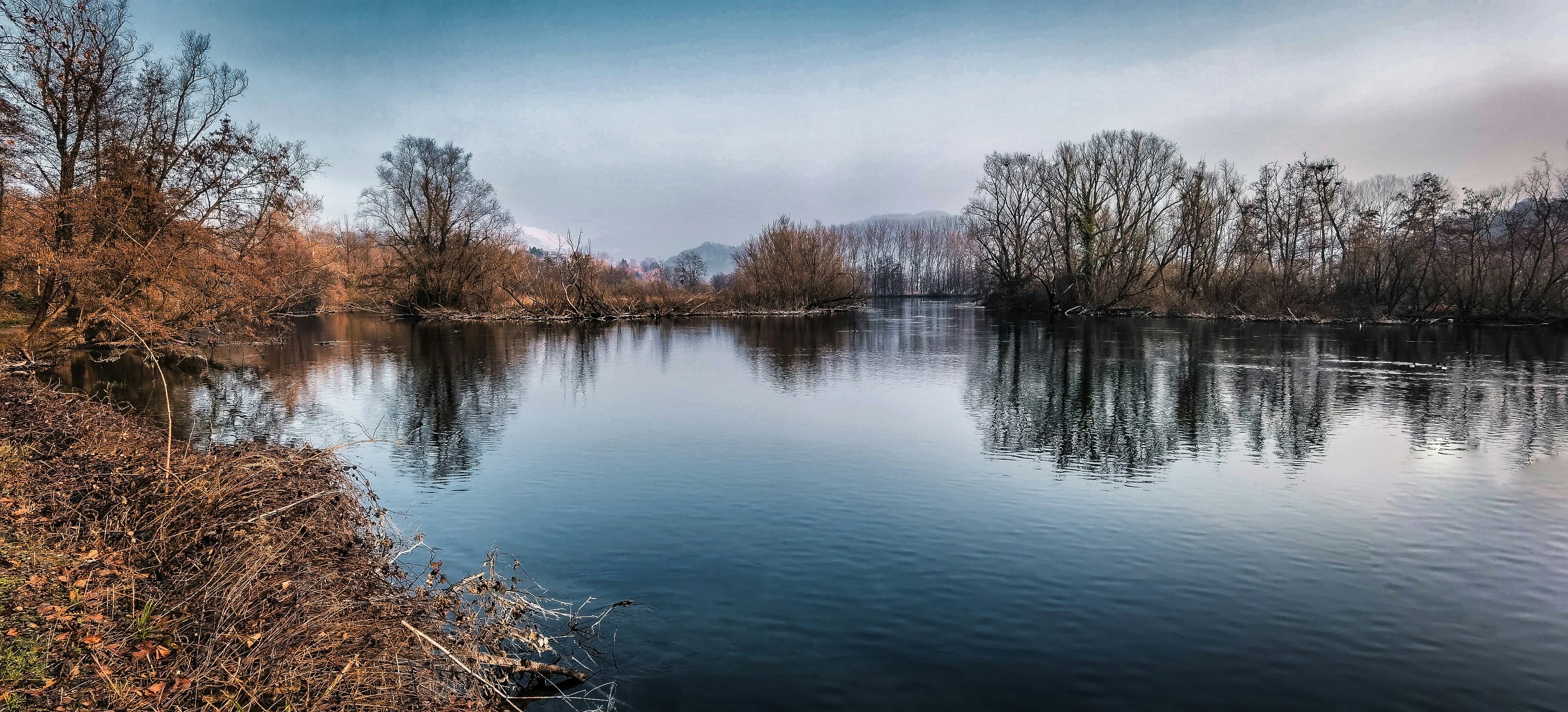 brown leafless trees beside river under blue sky during daytime