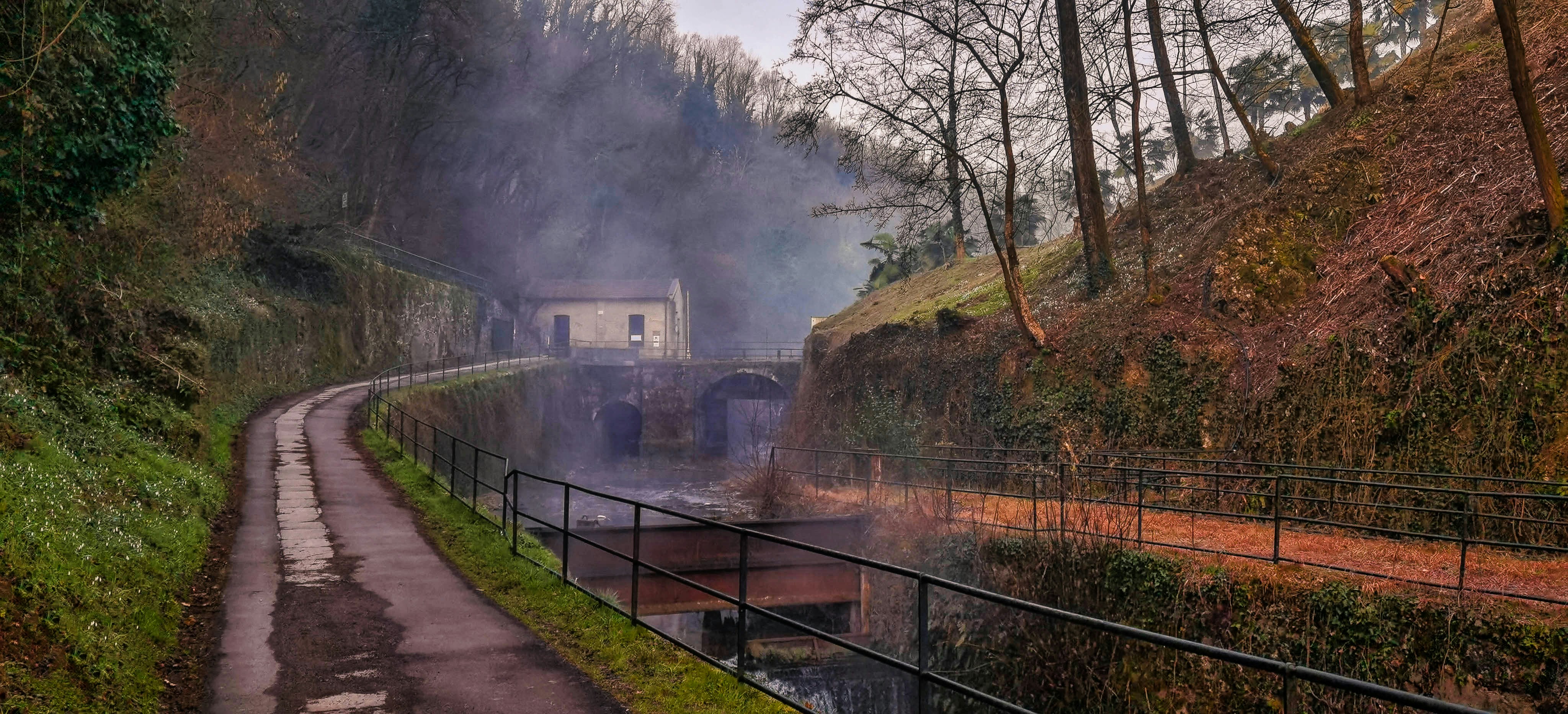 brown wooden fence near green trees during daytime
