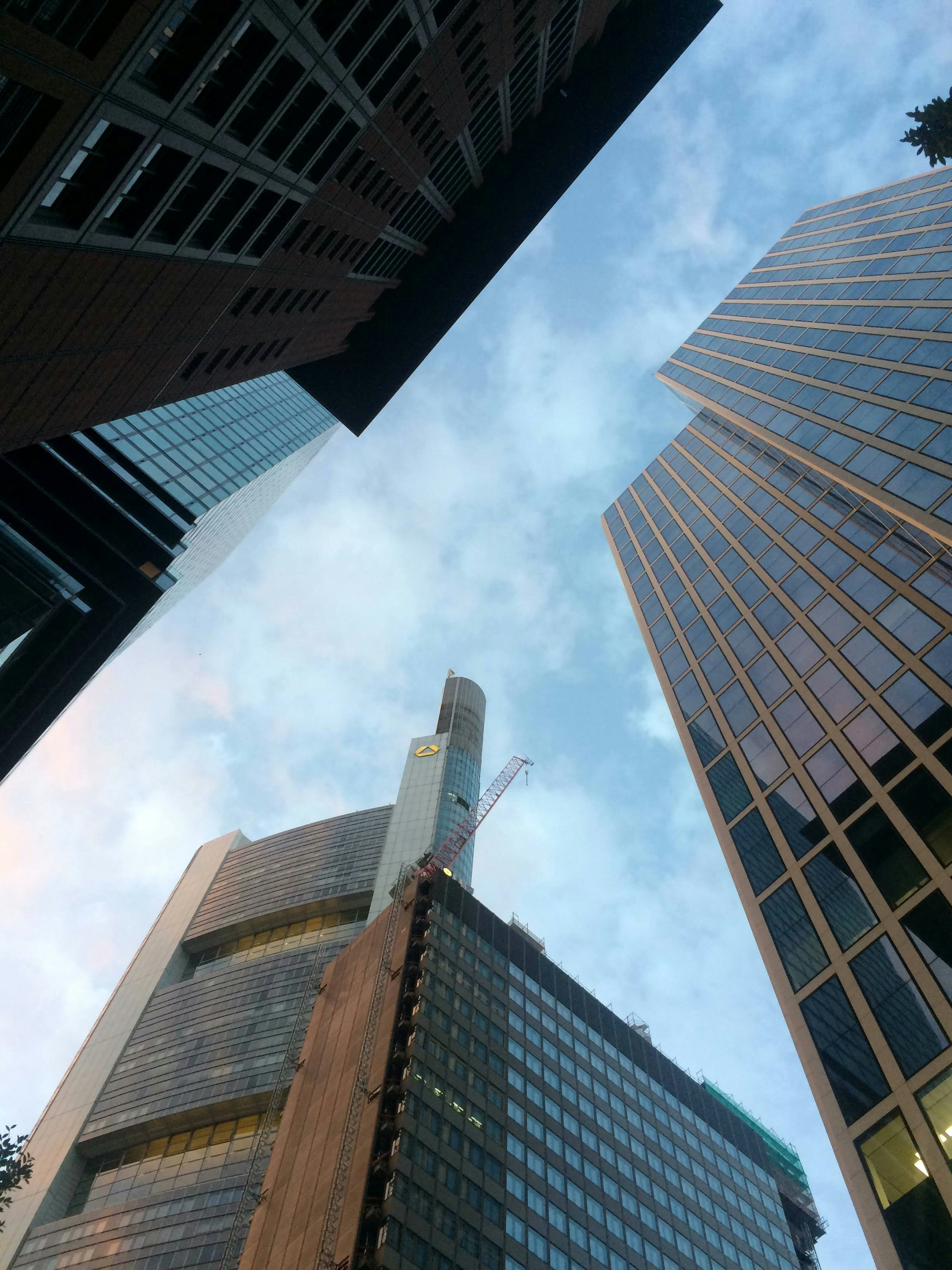 Photo by animgraphlab