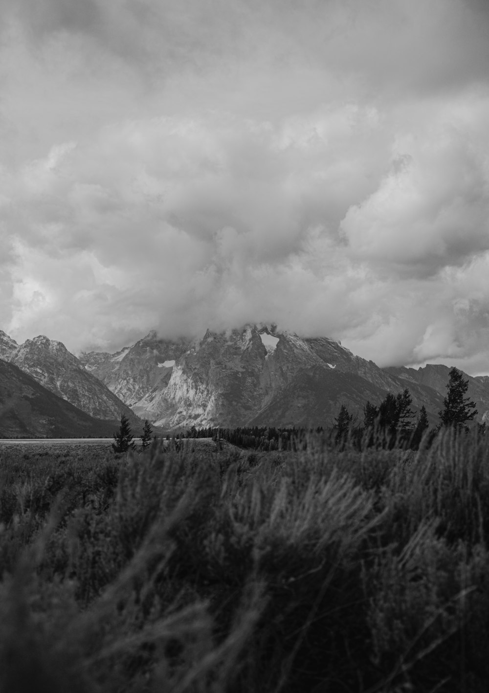 grayscale photo of person standing on grass field near mountain range