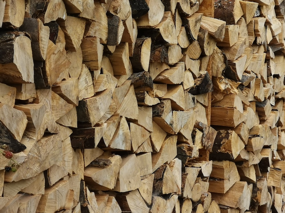Lote de troncos de madera marrón durante el día