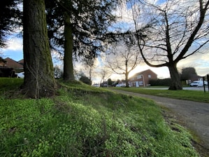A beautifully landscaped garden with lush greenery and colorful flowers in a suburban setting.