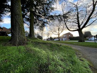 A peaceful suburban garden bordered by mature trees, hinting at potential development.