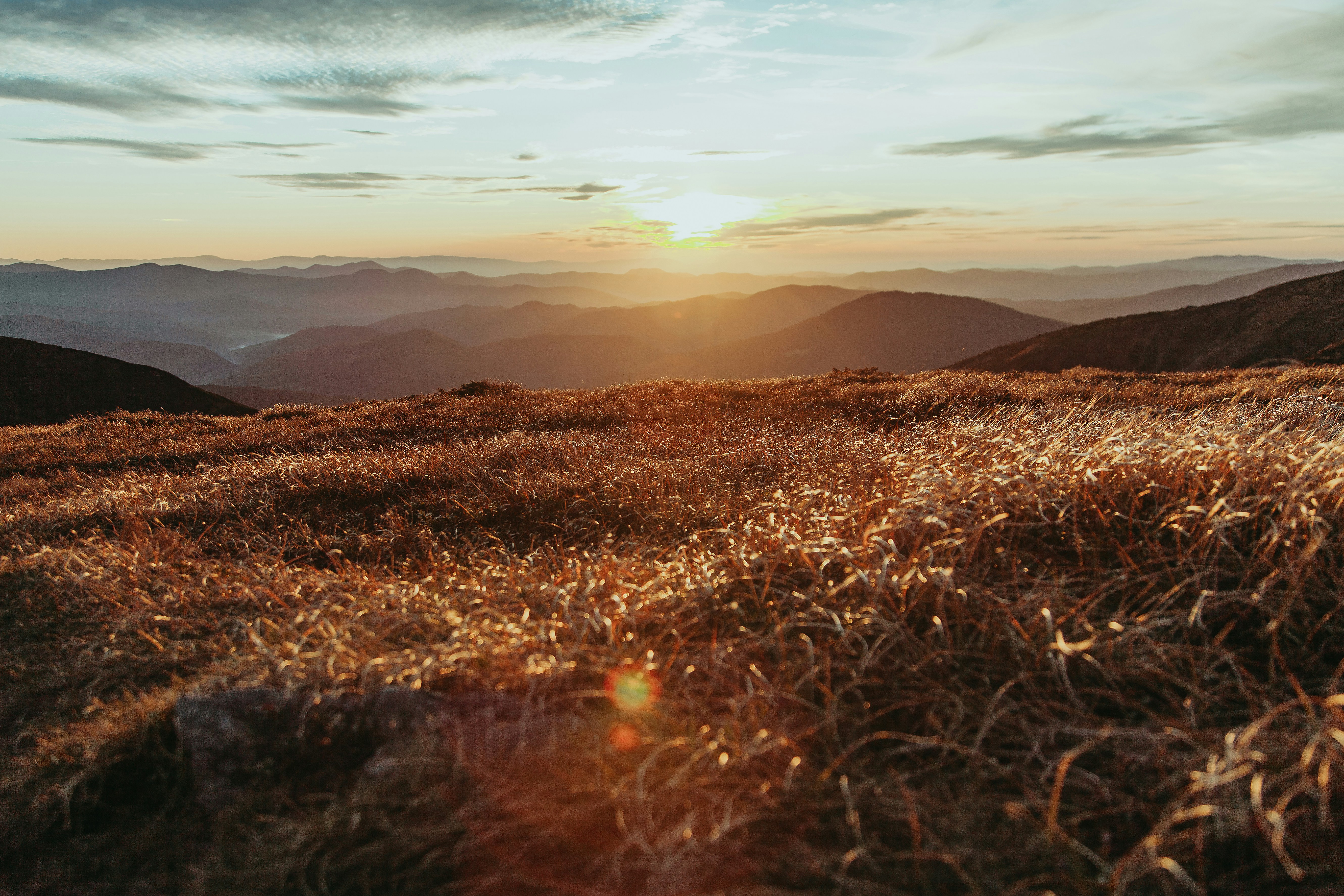 Photo by deni_eliash