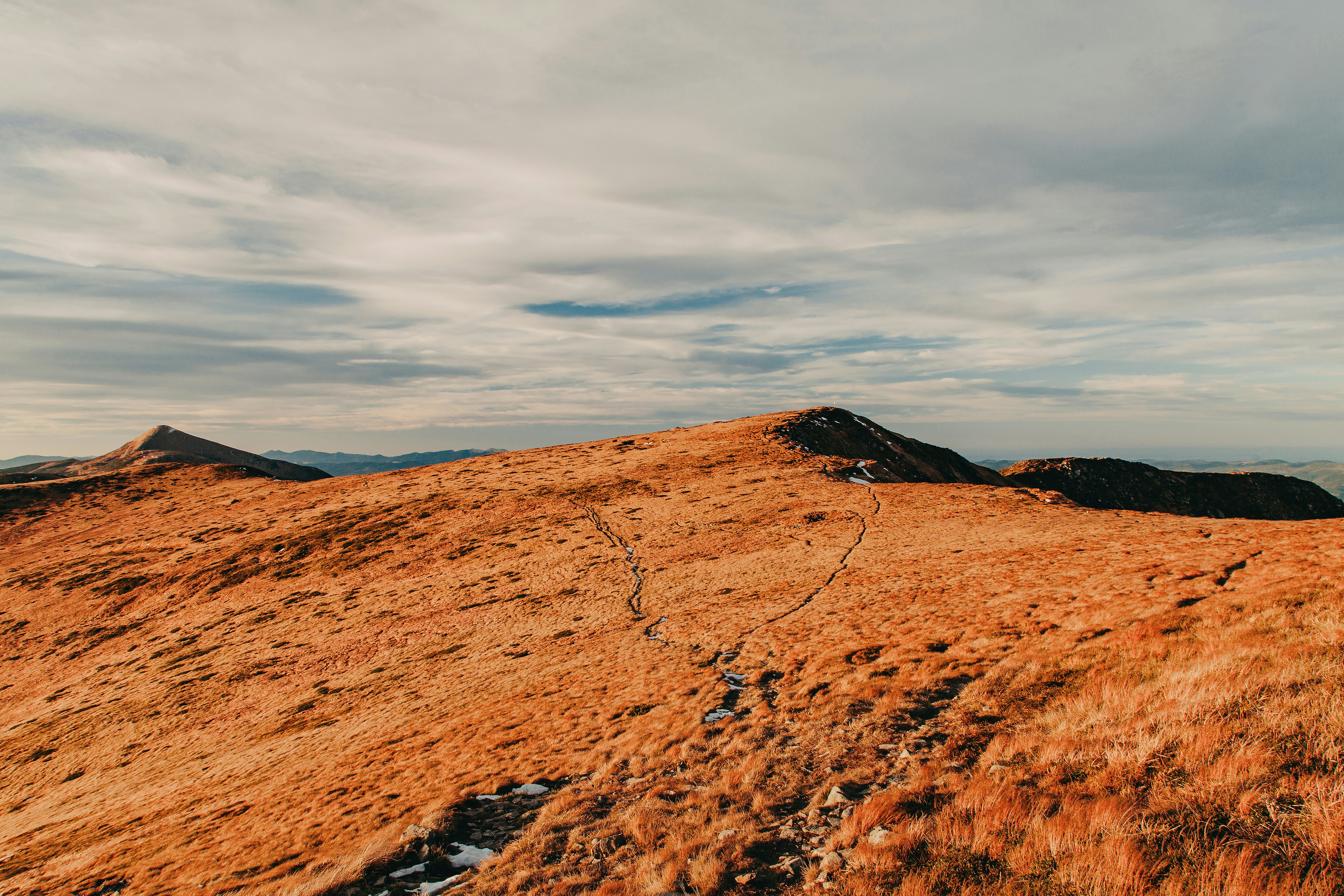 Photo by deni_eliash