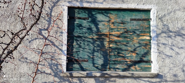 A window with closed wooden shutters that are aged and weathered, showing peeling paint. The shutters are attached to a textured stone or concrete wall. Bare branches of a plant or tree are casting shadows on the wall and the shutters.