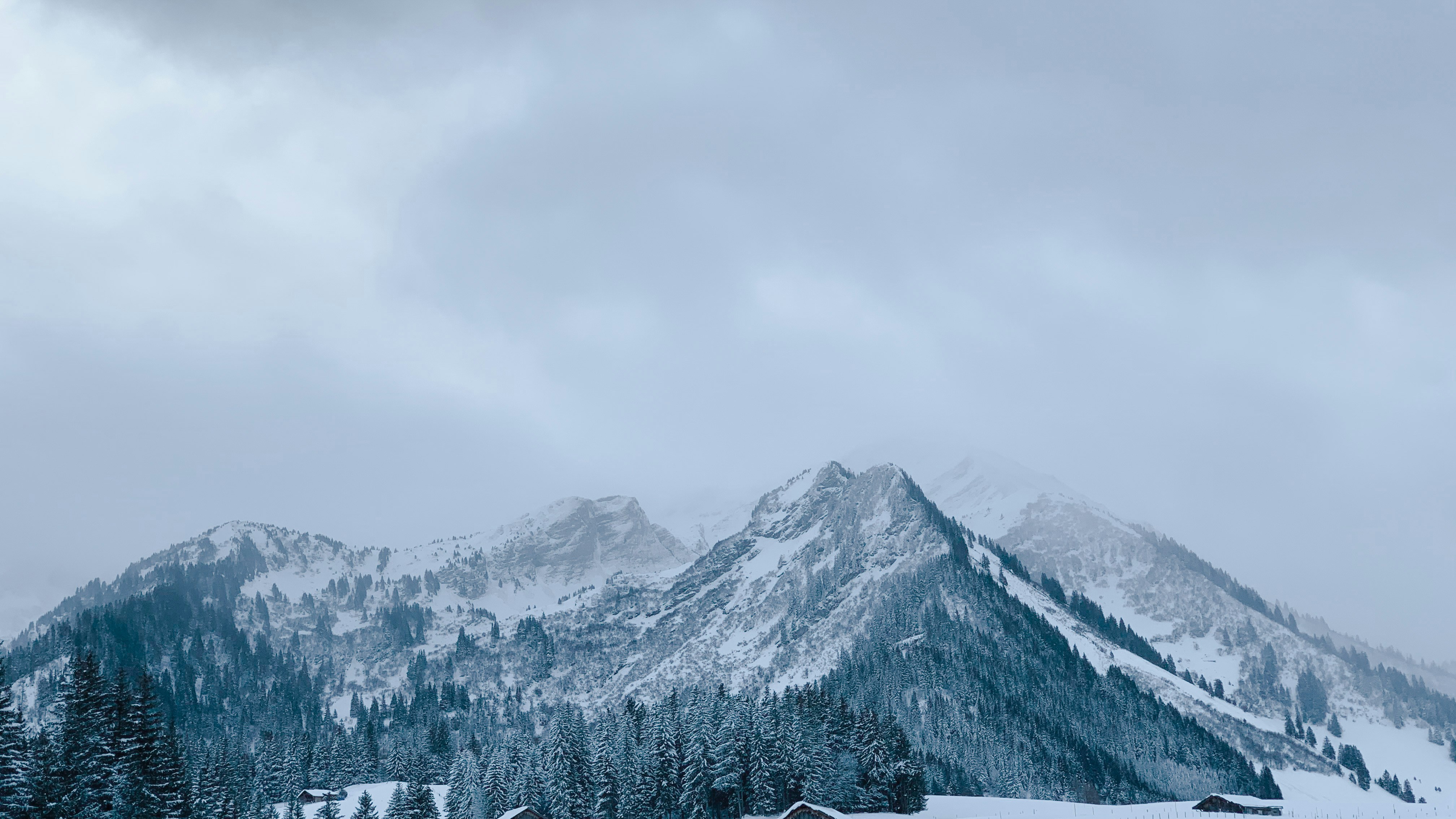 Photo by ronnie_schmutz