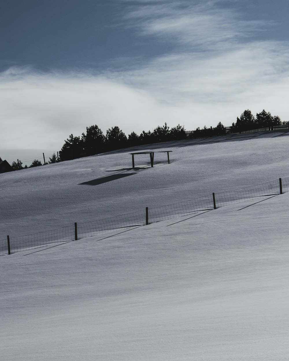 campo coperto di neve sotto il cielo blu durante il giorno