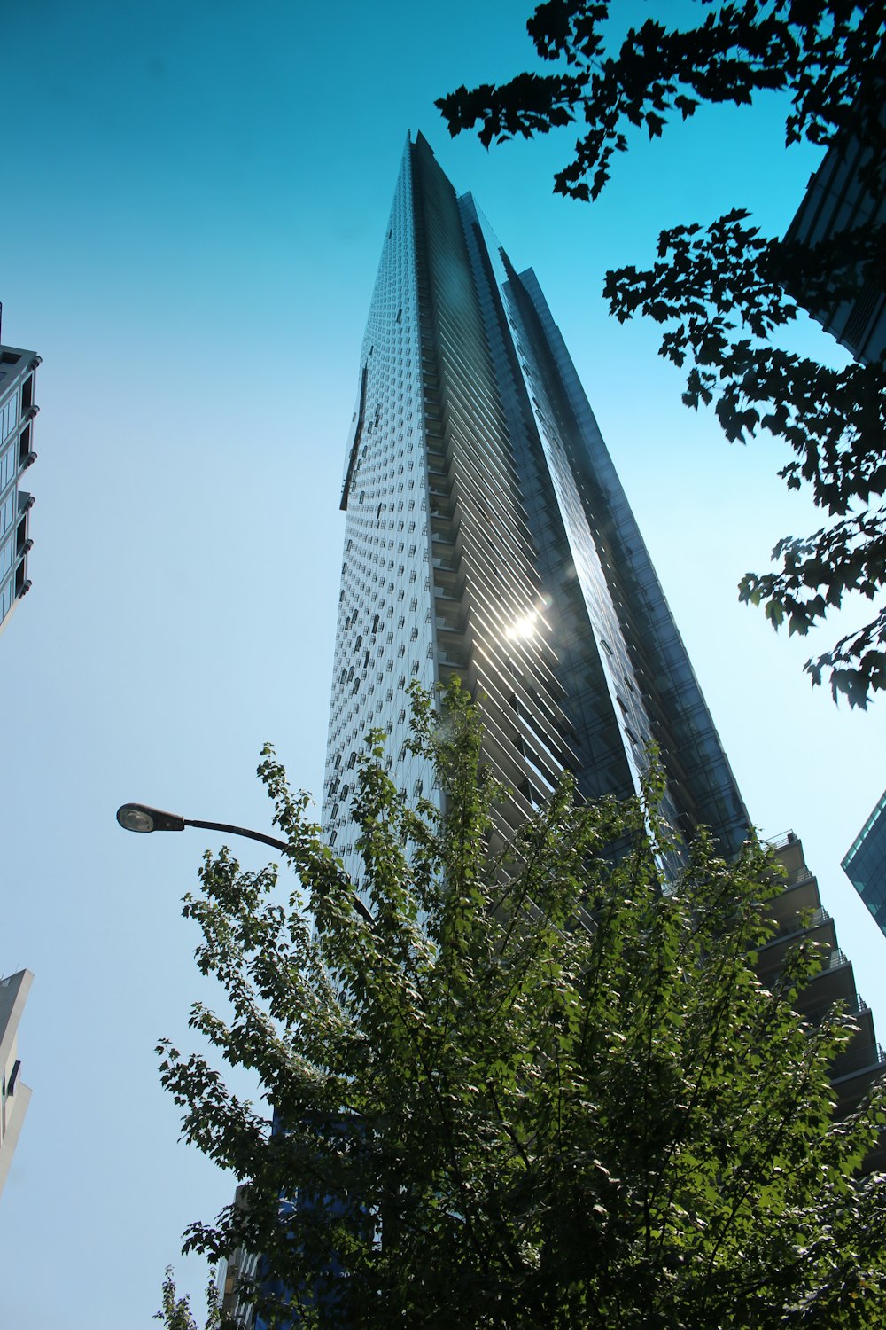 green trees near high rise building