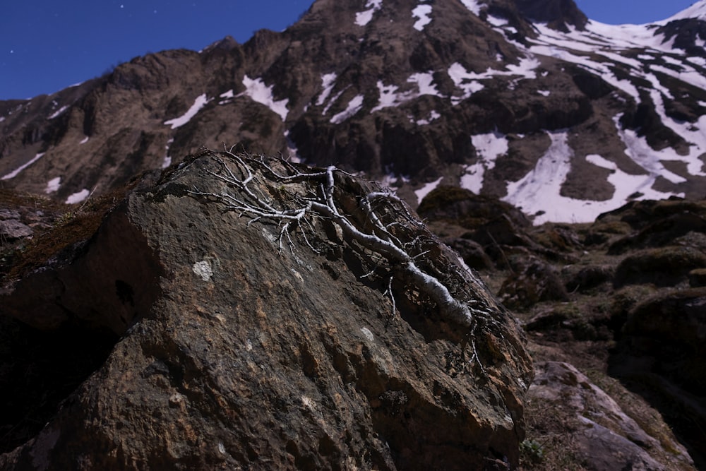 brown rocky mountain during daytime