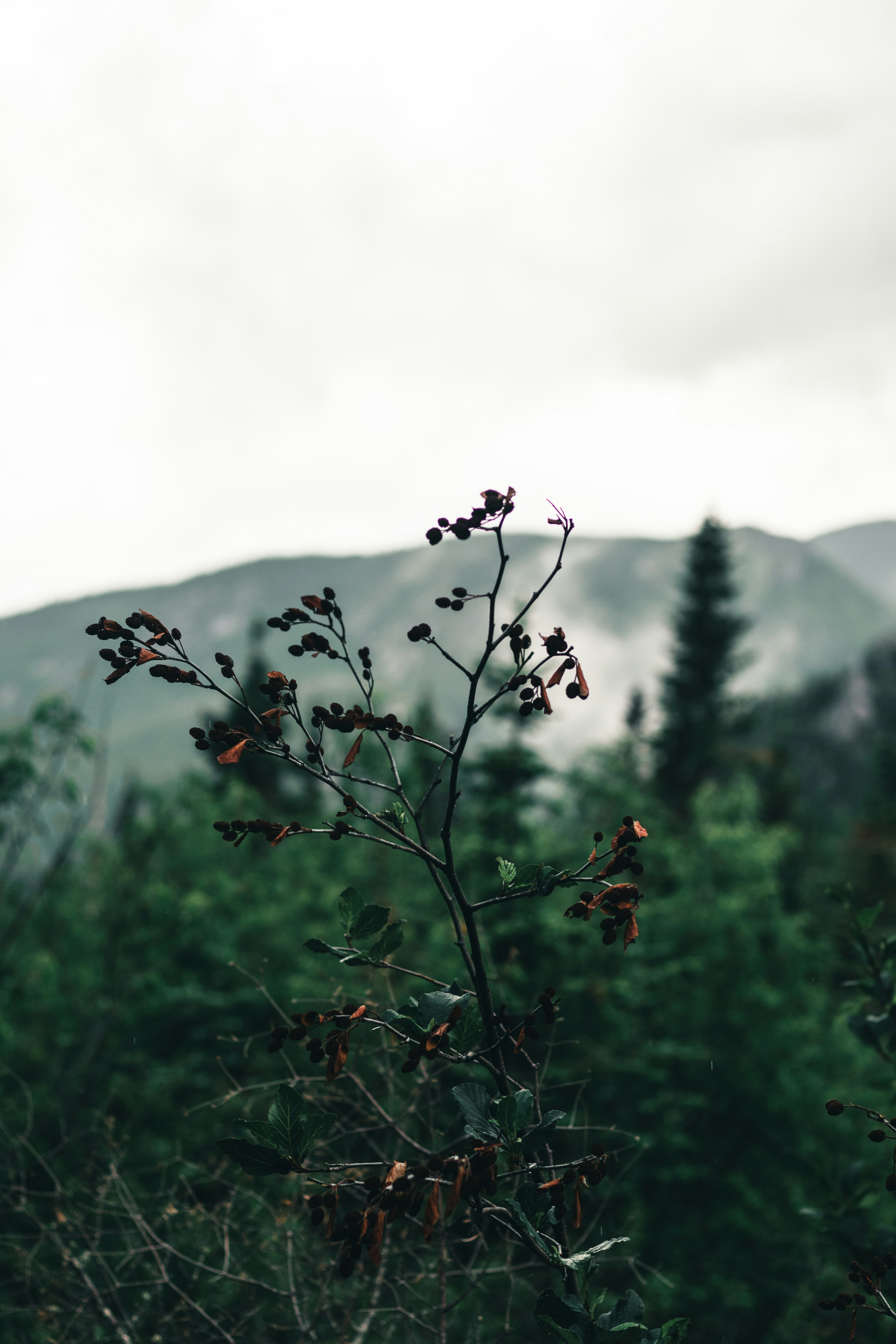 Photo by lureofadventure