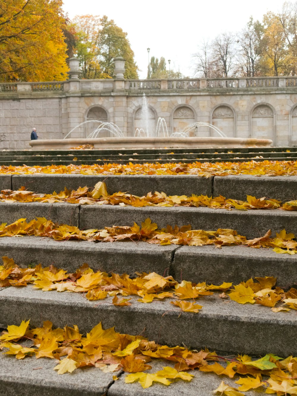 yellow leaves on gray concrete stairs