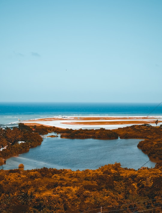 aerial view of body of water during daytime in Montego Bay Jamaica