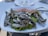A smiling man savoring a dish of grilled sardines in a warmly lit Portuguese eatery.