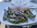 A smiling man savoring a dish of grilled sardines in a warmly lit Portuguese eatery.