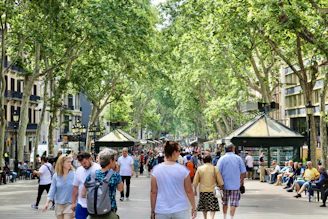 people walking on street during daytime