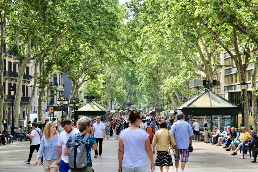 people walking on street during daytime