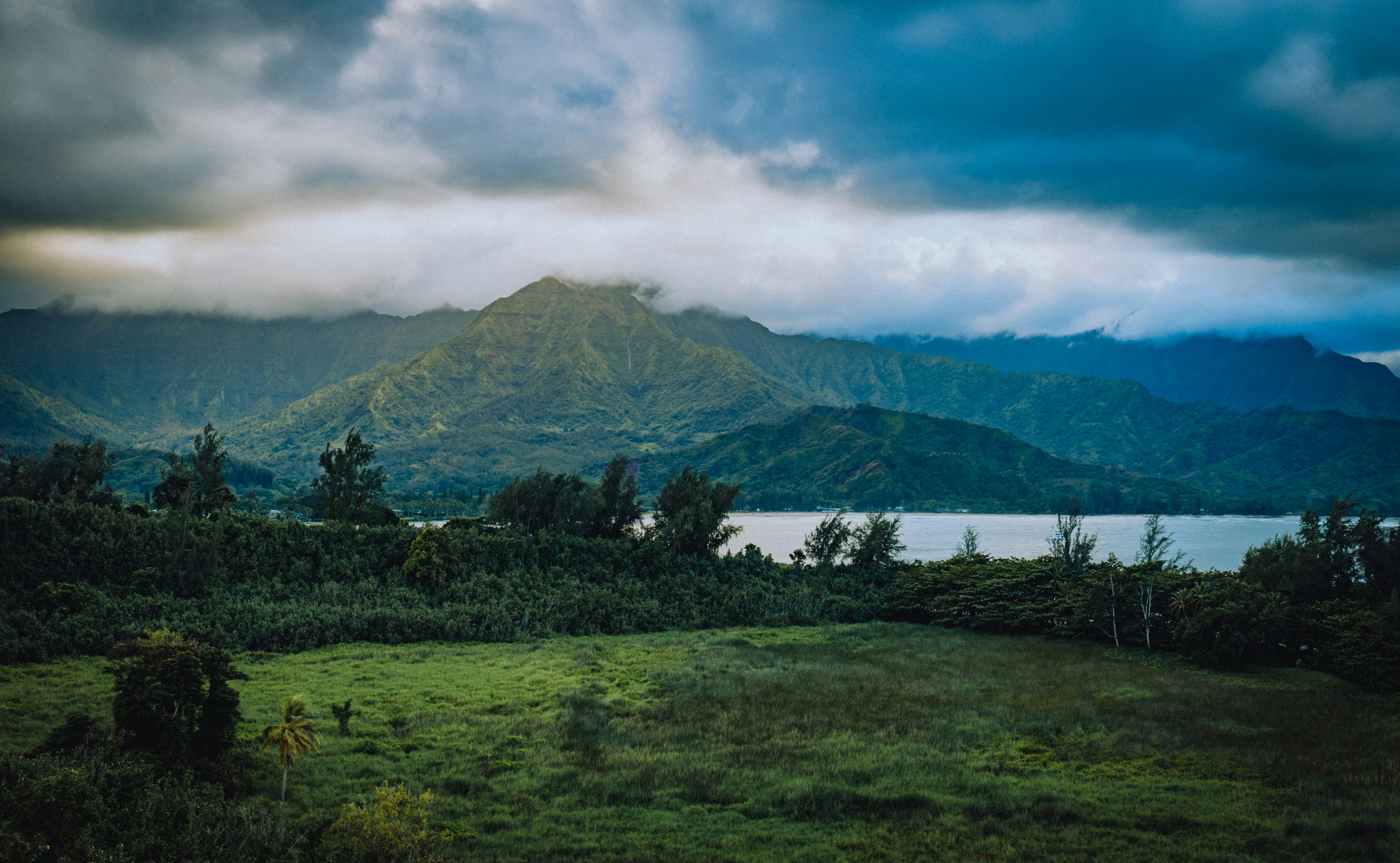 green trees near mountain under cloudy sky during daytime