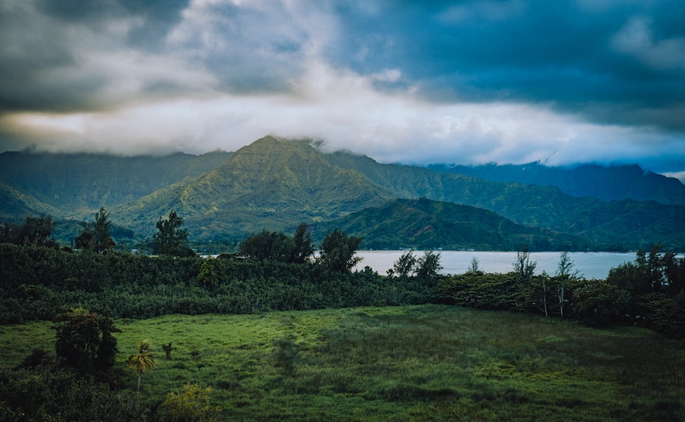 green trees near mountain under cloudy sky during daytime